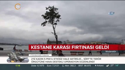 Kestane karası fırtınası geldi