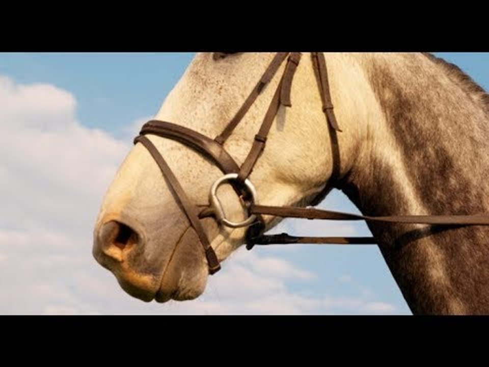 Bolsonaro: Organizações Globo "renegam" seus criadores.... Os Militares de 1964!