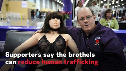 First Robot Sex Brothel In US Slated To Open In Houston