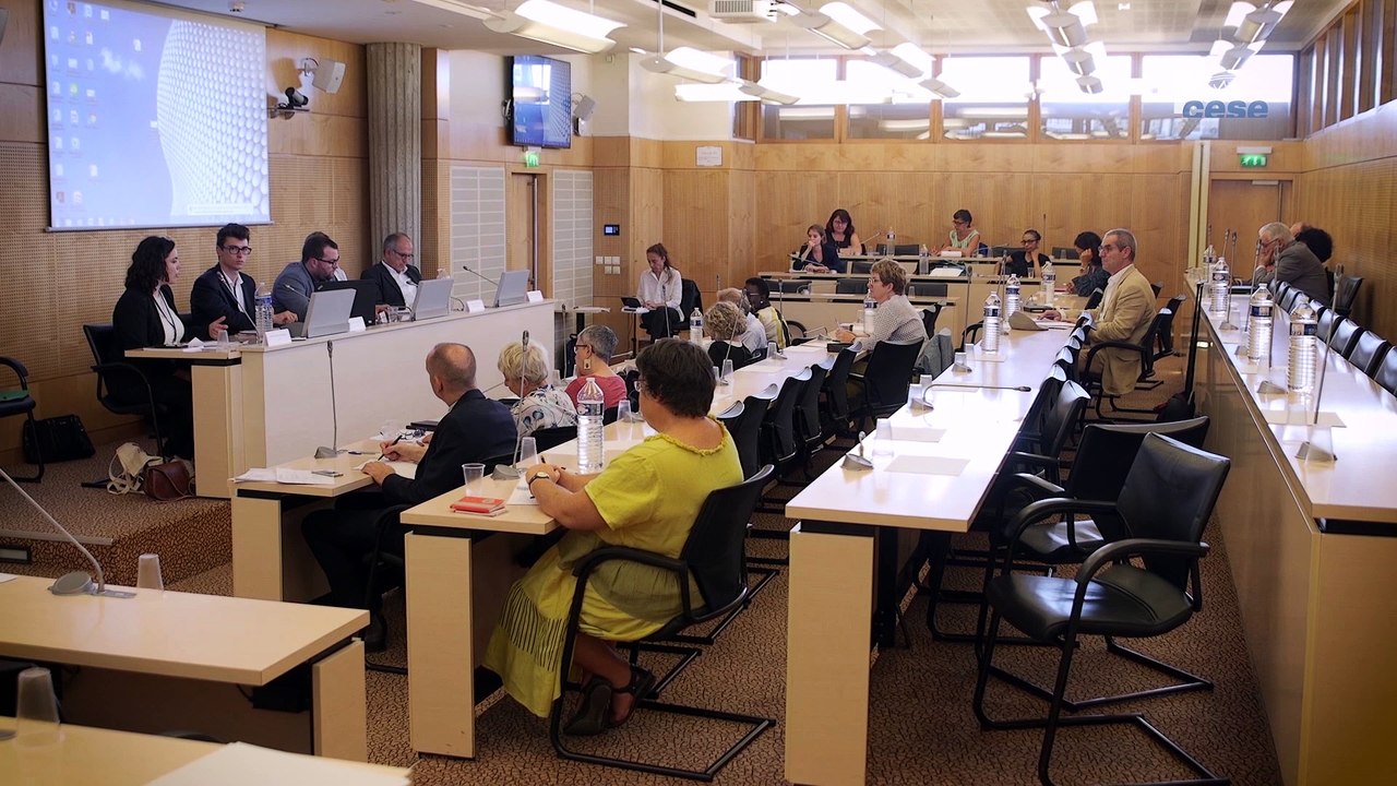 Itw de Alexandre PICARD (la FAGE) - addictions au tabac et à l'alcool - cese