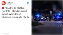 Affaire Maëlys. Lelandais aurait modifié sa version des faits pendant la reconstitution.