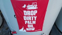 Greenpeace s'invite dans une raffinerie d'huile de palme en Indonésie