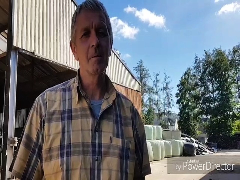 Un éleveur porcin de Baranzy (Musson) forcé d'abattre ses porcs