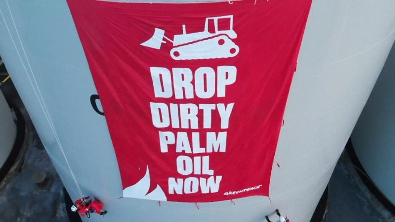Greenpeace besetzt Palmölraffinerie in Indonesien