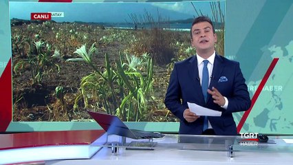 Bu Bitkiyi Koparana 48 Bin Lira Ceza