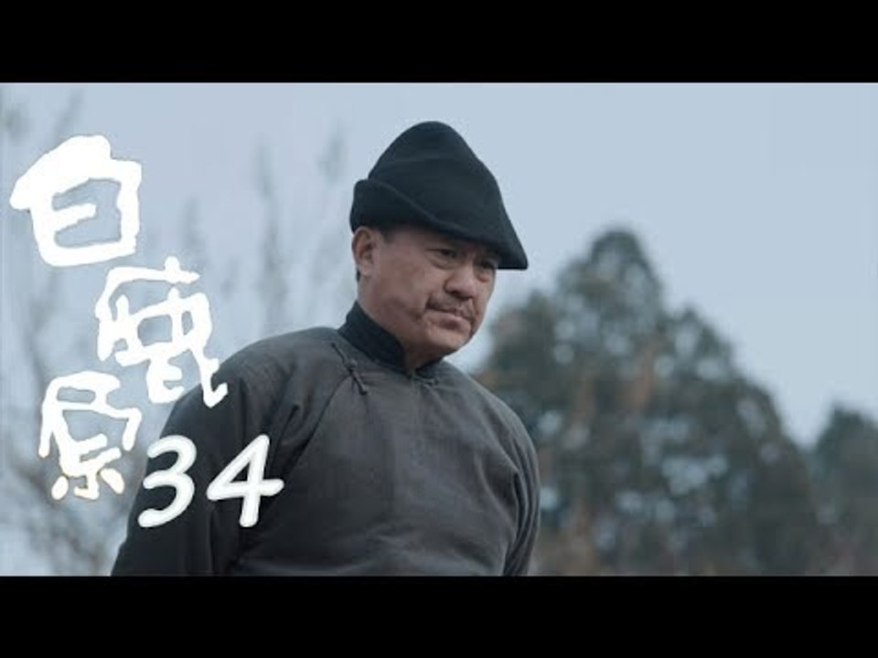 白鹿原 | White Deer 34【DVD版】（張嘉譯、秦海璐、何冰等主演）