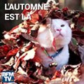 On vous donne trois astuces pour éviter de tomber malade cet automne