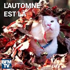 On vous donne trois astuces pour éviter de tomber malade cet automne