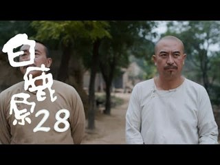 白鹿原 | White Deer 28【DVD版】（張嘉譯、秦海璐、何冰等主演）