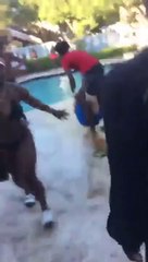 Elle vient demander à ses voisins de faire moins de bruit et fini dans la piscine