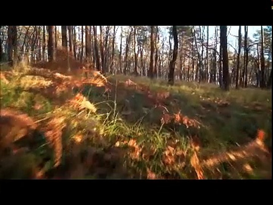 Interview de Christophe Fauré