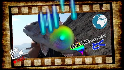 ハイサイ探偵団と沖縄で釣り対決‼#2