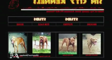 American Takedown S01 - Ep02 Dog Fig'hting HD Watch