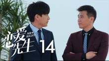 戀愛先生 | Mr Right 14【DVD版】（靳東、江疏影、李乃文、李宗翰等主演）