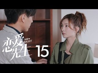 戀愛先生 | Mr Right 15【DVD版】（靳東、江疏影、李乃文、李宗翰等主演）