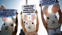 Happening à Paris contre la fourrure sur les podiums