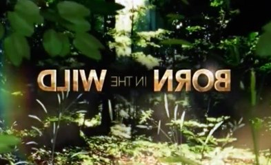 Born in the Wild (Lifetime) S01 - Ep01 Alaska Remote and UnAs'sisted HD Watch