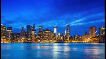 Why oysters could revitalise the waters around New York