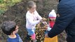 Vingt écoliers récoltent les premières patates de l’île Tristan