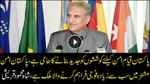 FM Qureshi says Pakistan always supported world peace efforts
