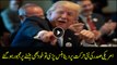 Trump UN: world audience laughs at Trump speech