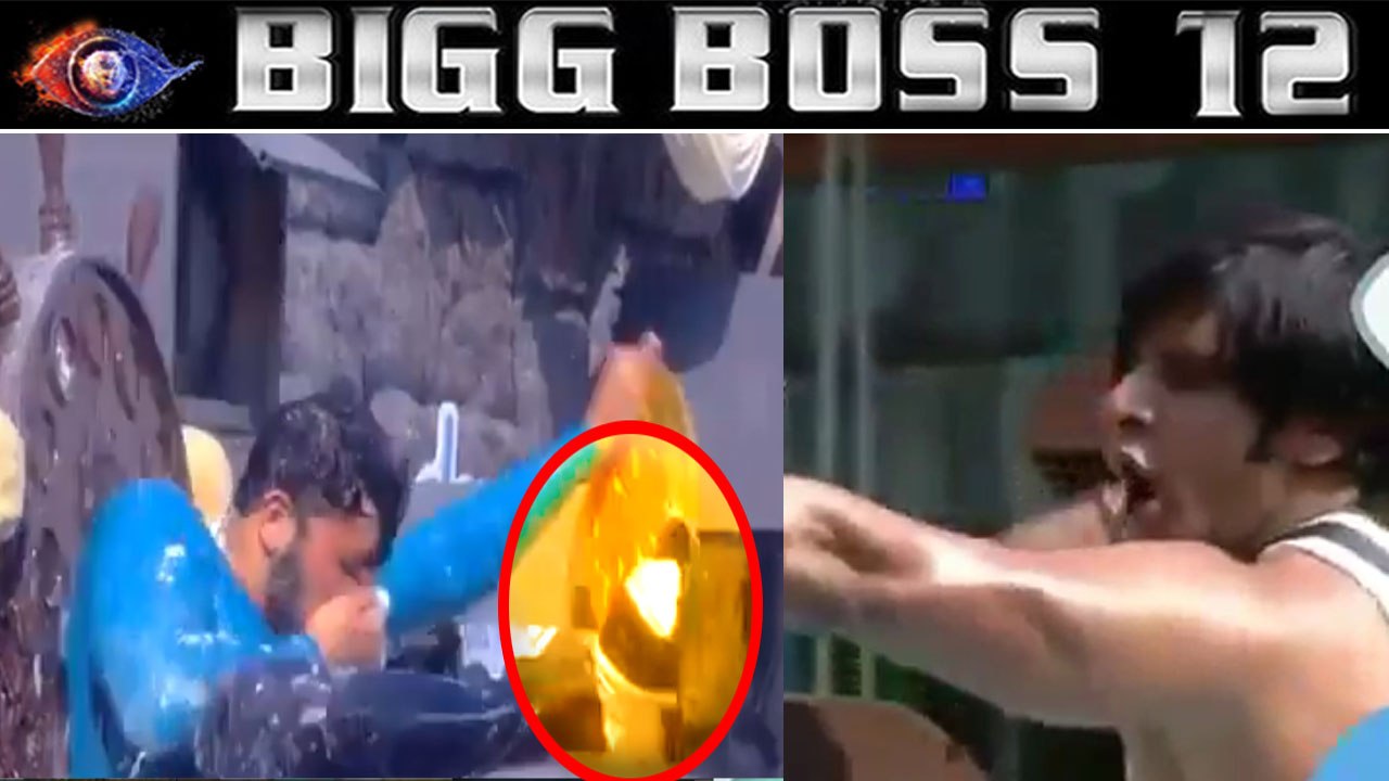 Bigg Boss 12: Shivashish Mishra gets physical in Luxury Budget task; KICKS Karanvir Bohra |FilmiBeat