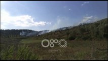 Ora News - Zjarr i madh në kodrat e Allprenajt në Lushnje