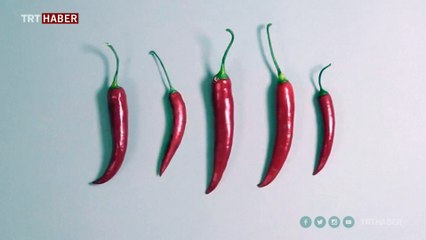Gündelik hayatta kullanılan nesnelerin hiper gerçekçi çizimleri