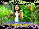 Bojoku Ilang - Evrita Banyu (Official Music Video)