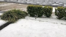 Severe Spring Thunderstorm Leaves Western Sydney Under Blanket of Hail