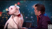 Canine Lady Xena Sings Whitney... - Got Talent Global