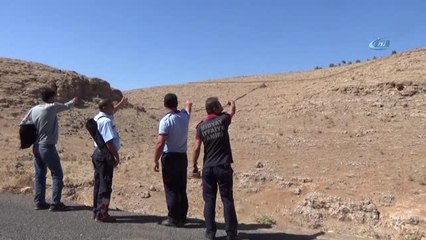 Ayağı Kırılan Gebe İnek 18 Gündür Dağlık Alanda Mahsur