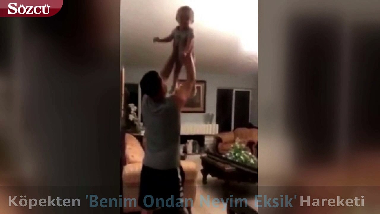 Köpekten 'Benim Ondan Neyim Eksik' Hareketi