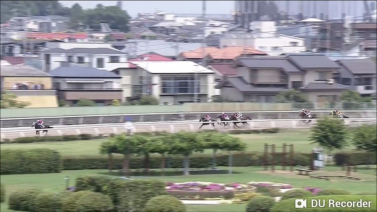 浦和競馬にどえらい馬が現れた！！