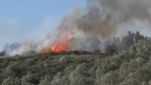 Lushnje, zjarri në kodër rrezikon banesa e biznese - Top Channel Albania - News - Lajme