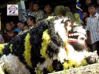 Jaranan Buto Gendeng Atraksi Macan [OFFICIAL]#Jaranan#
