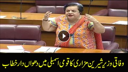 Federal Minister Shireen Mazari talks to NA