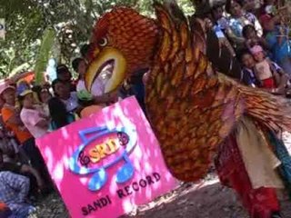 Atraksi Pitik - Pitikan Humor [Official Music Video]