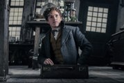 Les Animaux fantastiques : Les crimes de Grindelwald Bande-annonce VF (2018) Fantastique, Aventure