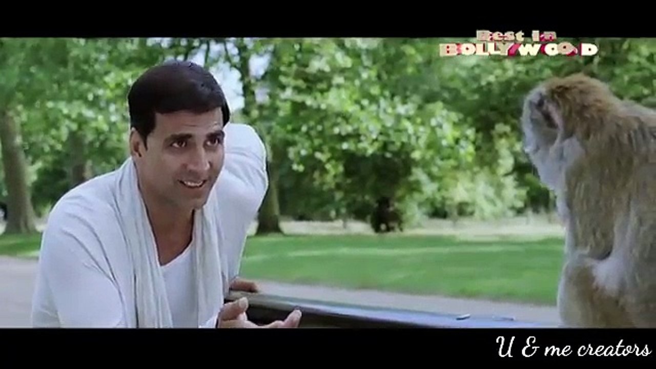 funny video || monkey fun ||lol
