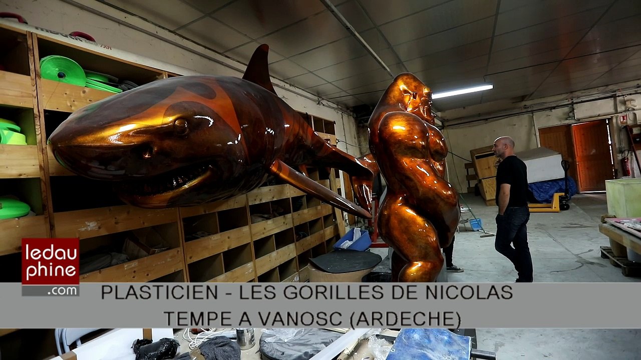 Ardèche : Les gorilles de Nicolas Tempé