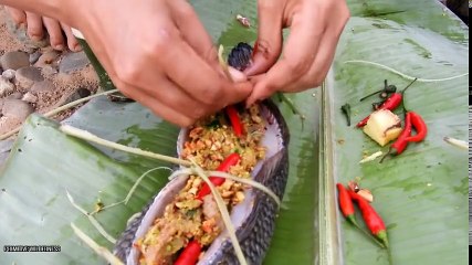 Primitive wilderness  Survival in Forest – Cooking  Big Fish  in Clay for Food