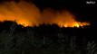 Wildfires near Pisa force evacuation of nearly 700