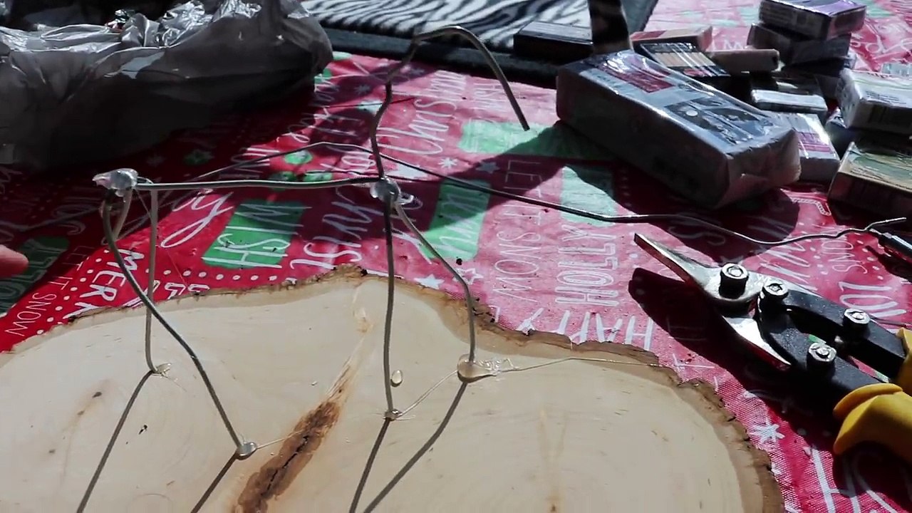 MY PETS OPEN CHRISTMAS PRESENTS + What I Got For Chirtsmas