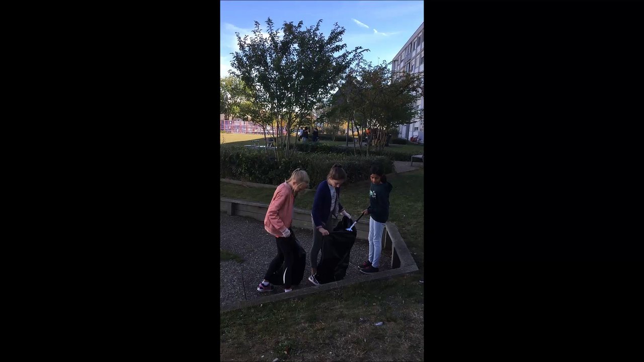 Pont-à-Mousson : nettoyage et plantations au quartier Procheville