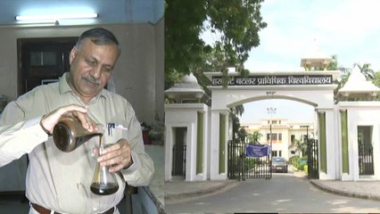 कानपुर के वैज्ञानिक अब खत्म कर देंगे पेट्रोल की समस्या, इस पौधे से बनेगा पेट्रोल