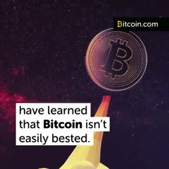 A Snapshot of Cryptocurrency Forks Shows the Biggest Winners