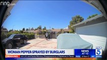 Video Shows Homeowner Being Pepper Sprayed by Fleeing Burglars