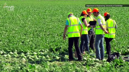 This Robot Peeling Lettuce May Be The Beginning Of Robot Farm Workers
