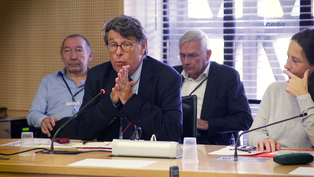 Questions à Philippe CHALMIN (université Paris-Dauphine) - Métaux stratégiques - cese